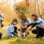 Menutup Hari dengan Tenang